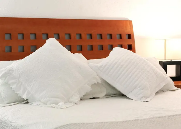 Suite 1-B El Rincon Garden House, Welcome To San Angel